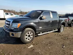 Salvage cars for sale at Baltimore, MD auction: 2013 Ford F150 Supercrew