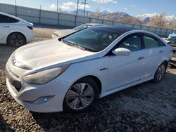 Hyundai salvage cars for sale: 2014 Hyundai Sonata Hybrid