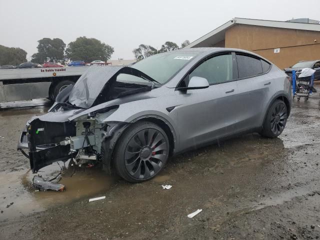 2025 Tesla Model Y