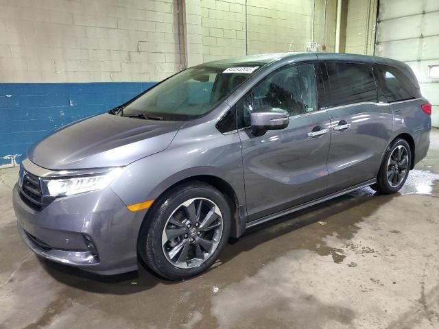 2024 Honda Odyssey Elite