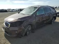 KIA salvage cars for sale: 2019 KIA Sorento EX