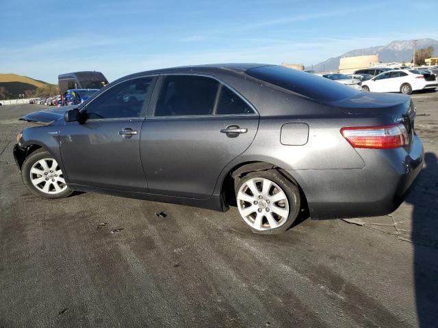 2009 Toyota Camry Hybrid