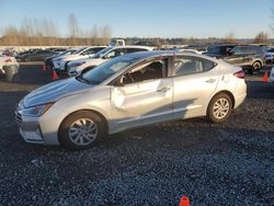 Hyundai Elantra salvage cars for sale: 2019 Hyundai Elantra SE