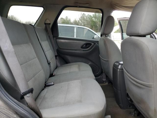 2006 Ford Escape XLT