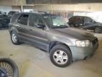 2003 Ford Escape XLT