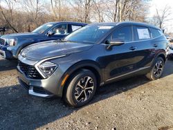 2025 KIA Sportage EX en venta en Marlboro, NY