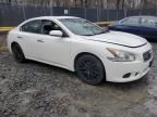 2013 Nissan Maxima S