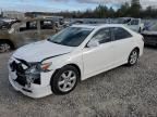 2009 Toyota Camry SE