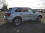 2010 Audi Q5 Prestige