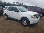 2008 Ford Escape XLS