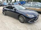 2020 Lexus ES 350