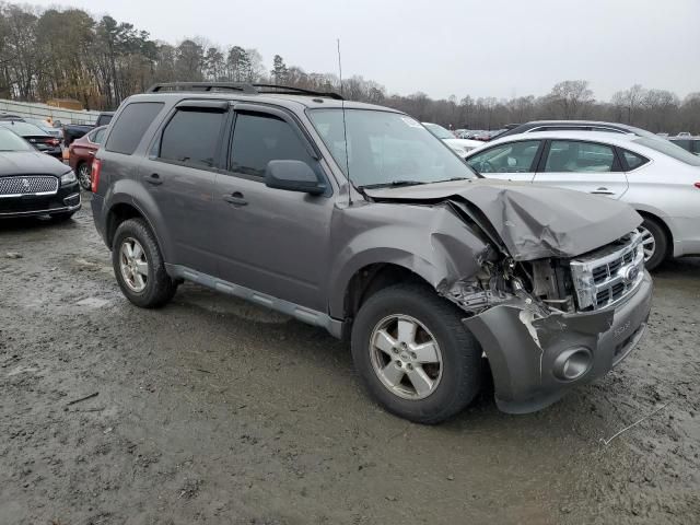 2010 Ford Escape XLT