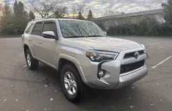 Vehiculos salvage en venta de Copart Portland, OR: 2019 Toyota 4runner SR5