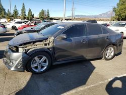 Salvage cars for sale from Copart Rancho Cucamonga, CA: 2014 Toyota Camry L