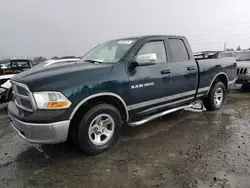 Dodge salvage cars for sale: 2011 Dodge RAM 1500