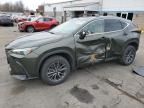 2023 Lexus NX 350