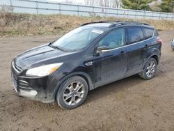 Salvage cars for sale at Davison, MI auction: 2013 Ford Escape SEL