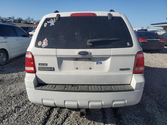 2008 Ford Escape XLT