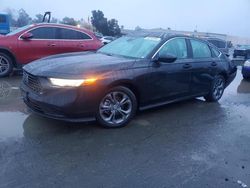 Salvage cars for sale at Martinez, CA auction: 2024 Honda Accord EX