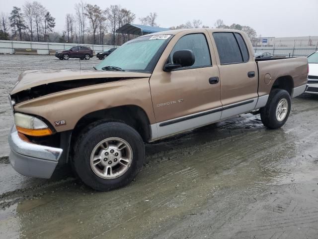 2000 Dodge Dakota Quattro