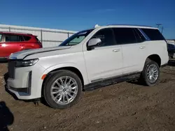 Salvage Cars with No Bids Yet For Sale at auction: 2023 Cadillac Escalade Premium Luxury