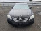 2008 Toyota Camry Hybrid