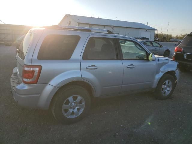 2010 Ford Escape Limited