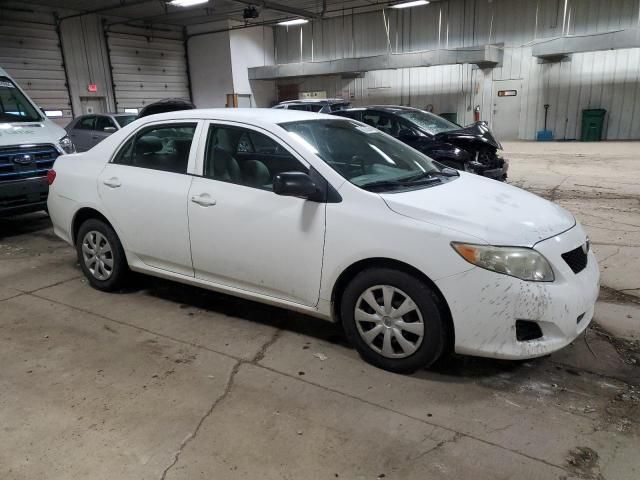 2010 Toyota Corolla Base