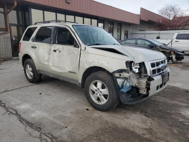 2009 Ford Escape XLT