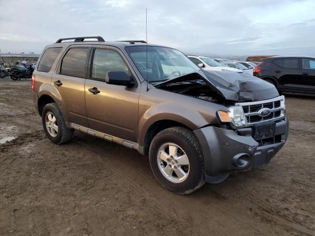 2012 Ford Escape XLT