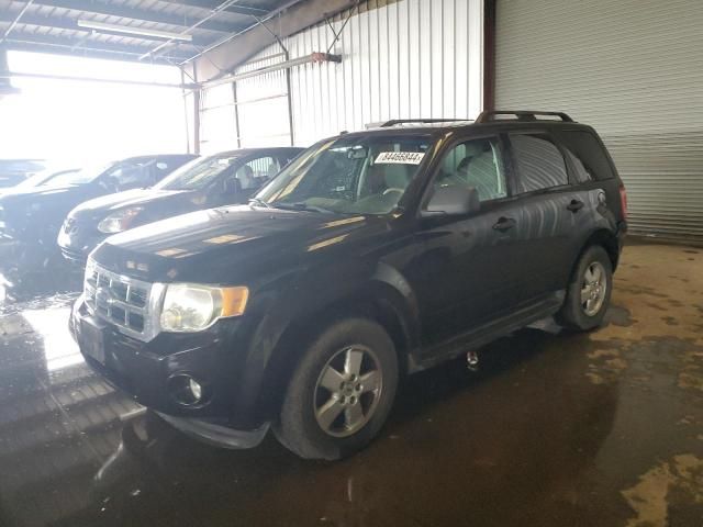 2009 Ford Escape XLT