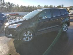 Ford salvage cars for sale: 2016 Ford Escape SE