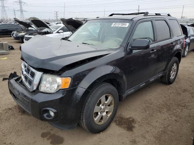 2011 Ford Escape Limited