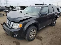 Salvage cars for sale at Elgin, IL auction: 2011 Ford Escape Limited