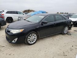 Toyota salvage cars for sale: 2012 Toyota Camry Hybrid