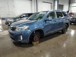 Salvage cars for sale from Copart Ham Lake, MN: 2015 KIA Sorento LX