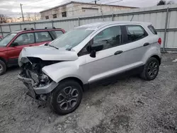 Vehiculos salvage en venta de Copart Albany, NY: 2019 Ford Ecosport S