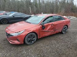 Salvage cars for sale at Cookstown, ON auction: 2021 Hyundai Elantra SEL