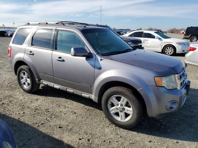 2008 Ford Escape HEV