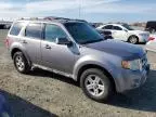 2008 Ford Escape HEV