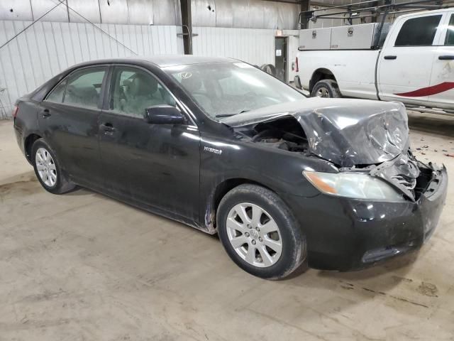 2009 Toyota Camry Hybrid