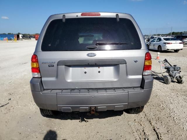 2007 Ford Escape XLT