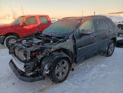 Salvage cars for sale at Anchorage, AK auction: 2024 Toyota Rav4 XLE