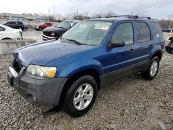 Vehiculos salvage en venta de Copart Louisville, KY: 2007 Ford Escape XLT