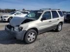 2003 Ford Escape XLT