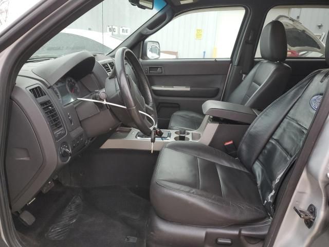 2009 Ford Escape XLT