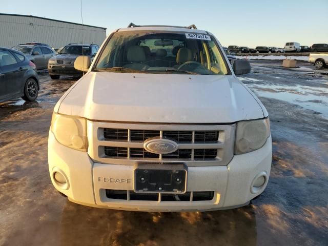 2008 Ford Escape XLT