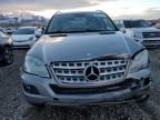 2009 Mercedes-Benz ML 350