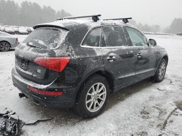 2010 Audi Q5 Premium Plus