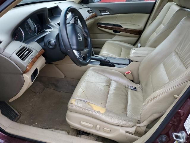 2009 Honda Accord EXL